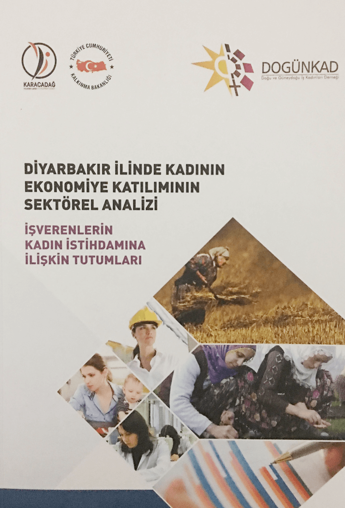 Diyarbakır ilinde kadının Ekonomiye Katılımının sektörel analizi